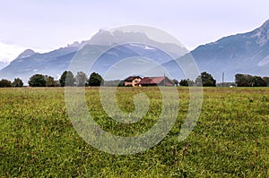 Fields in the swiss Alps