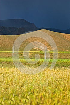 Fields in Tibetan landscape