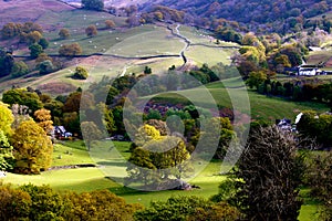 Fields, trees and houses in the Lake District