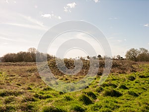 Fields and Trees in the outback in spring