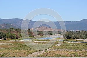 Fields with trees and rivers