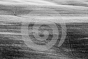 Fields in Tuscany Italy on curvy hills