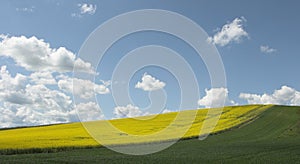 Fields under blue sky