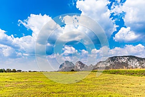 Fields under blue sky in Thailand