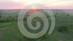 Fields with various types of agriculture, aerial shot