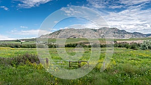 Fields and Vineyards in Canada`s Wine Region of the Okanagen Valley