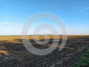 Fields and vineyards in the distance