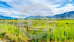 Fields and Vineyards in the Okanagen Valley between Osoyoos and Oliver