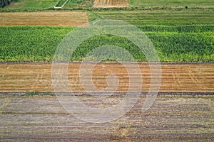 Fields in Wegrow County, Mazovia region of Poland