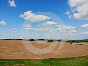 Fields of wheat in summer sunny day. Harvesting bread. Rural landscape with meadow and trees