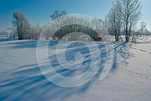 Fields in winter