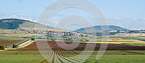 Fields in Yezreel Valley