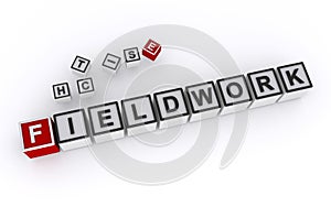 fieldwork word block on white