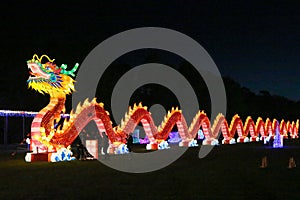 Fierce Dragon at the Chinese Lantern Light Festival Castle