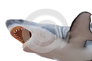 Fierce great white shark isolated on white photo