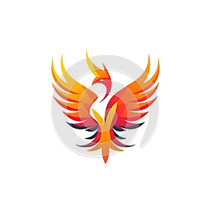 Fierce Phoenix Logo on White Background .