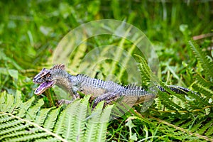 Fierce Tyrannosaurus with large teeth, wild eye. dinosaur model