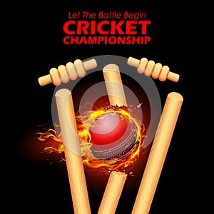 Fiery ball breaking the stumps for Cricket