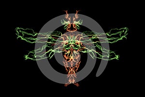 Fiery Dragonfly X-ray