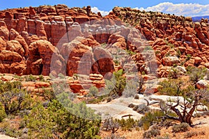 Fiery Furnace Hoodoos Rock Canyon Arches National Park Moab Utah