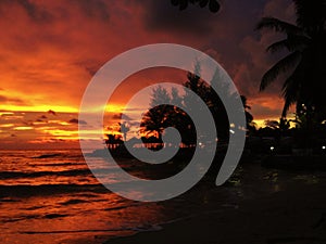 Fiery glow sunset over a beautiful tropical beach and ocean water. Different colours of clouds and the silhouette of palm tree.