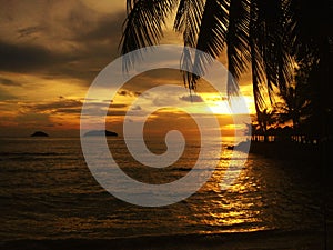 Fiery glow sunset over a beautiful tropical beach and ocean water. Different colours of clouds and the silhouette of palm tree.