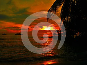 Fiery glow sunset over a beautiful tropical beach and ocean water. Different colours of clouds and the silhouette of palm tree.