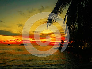 Fiery glow sunset over a beautiful tropical beach and ocean water. Different colours of clouds and the silhouette of palm tree.