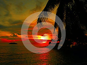 Fiery glow sunset over a beautiful tropical beach and ocean water. Different colours of clouds and the silhouette of palm tree.