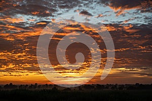 Fiery orange sunset sky in background