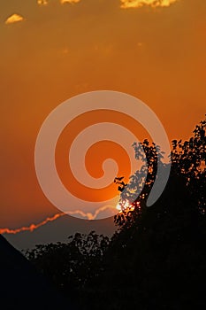 FIERY ORB OF SETTING SUN AND ORANGE GLOW VISIBLE BEHIND SILHOUETTE OF TREES