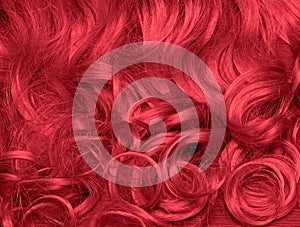 Fiery red female hair texture