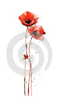 Fiery Red Poppy Bunch in Modern Watercolor Style on White Background Perfect for Floral Greeting Cards and Invitations.