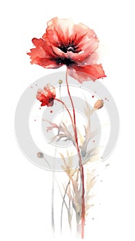 Fiery Red Poppy Bunch in Modern Watercolor Style on White Background Perfect for Floral Greeting Cards and Invitations.