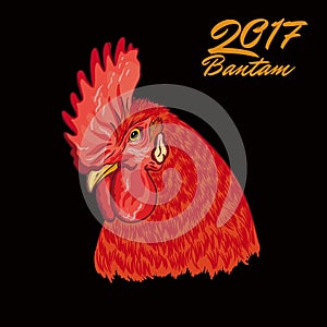 Fiery Rooster. Symbol of the coming year. head.