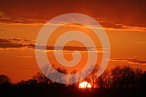 Fiery sky at sunset, sun on horizon behind trees