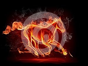 Fiery stallion