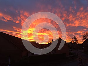 Fiery sunset over houses