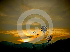 Fiery sunset with silhouetted mountains and plant creates a dramatic, serene landscape.