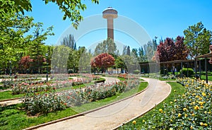 Fiesta del Arbol park in Albacete Spain