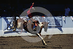 Fiesta Rodeo & Stock Horse Show