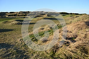 The Fife Coastal Walk at Kinsbarns, near St Andrews.