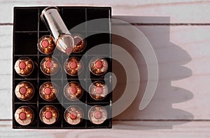 Fifteen 44 special bullets with red tips in a case with one of the bullets on top