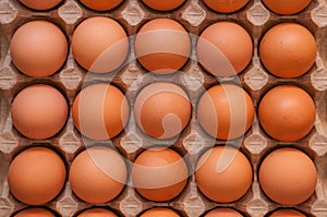 Fifteen whole unbroken brown eggs in a cardboard box