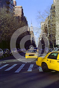 Fifth Avenue New York City Cabs USA