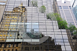 Fifth Avenue Reflection