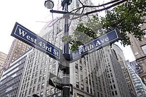 Fifth avenue signpost in New York