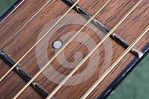 Fifth Fret Marker in Selective Focus