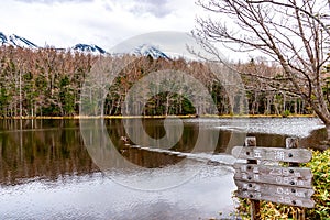 The Fifth Lake of Shiretoko Goko Five Lakes area. Natural beauty scenery