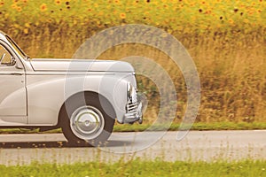 Fifties car driving by a field with blooming sunflowers